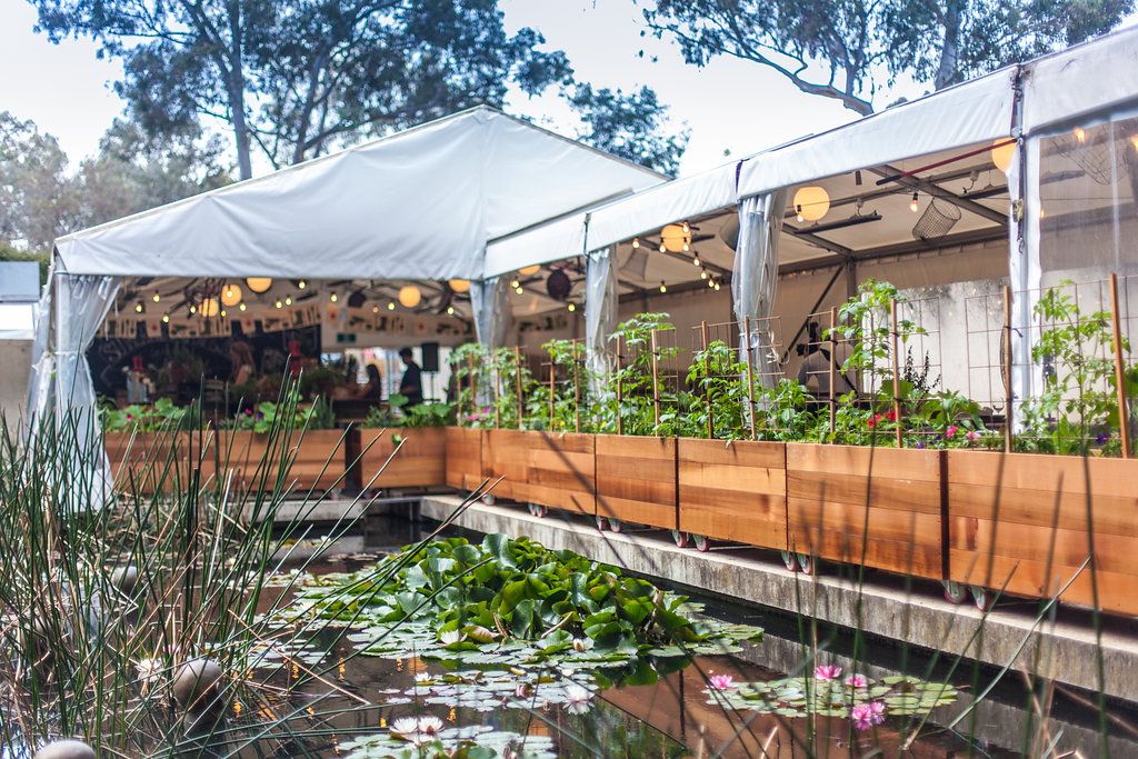 A decorated marquee by a pond