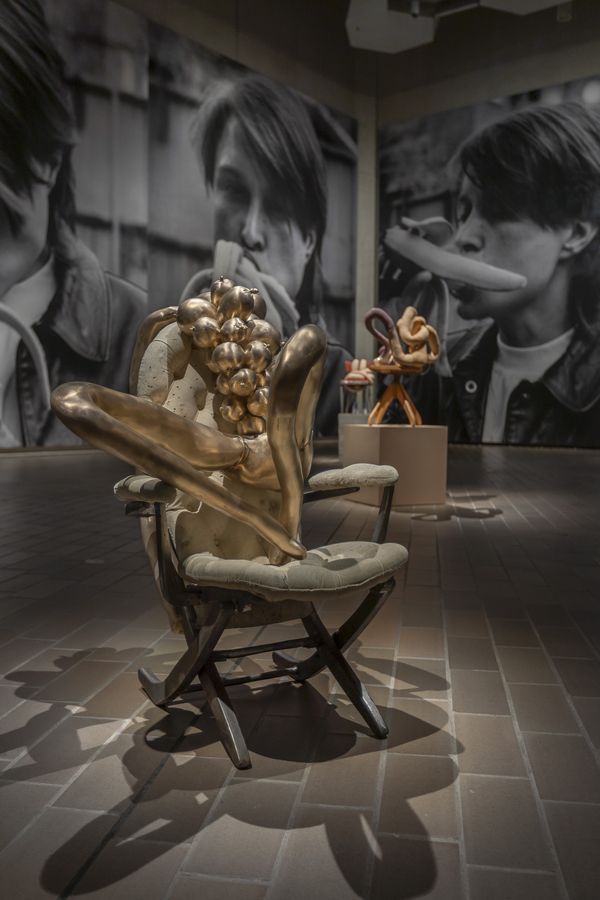 Installation view of Project 1: Sarah Lucas exhibition