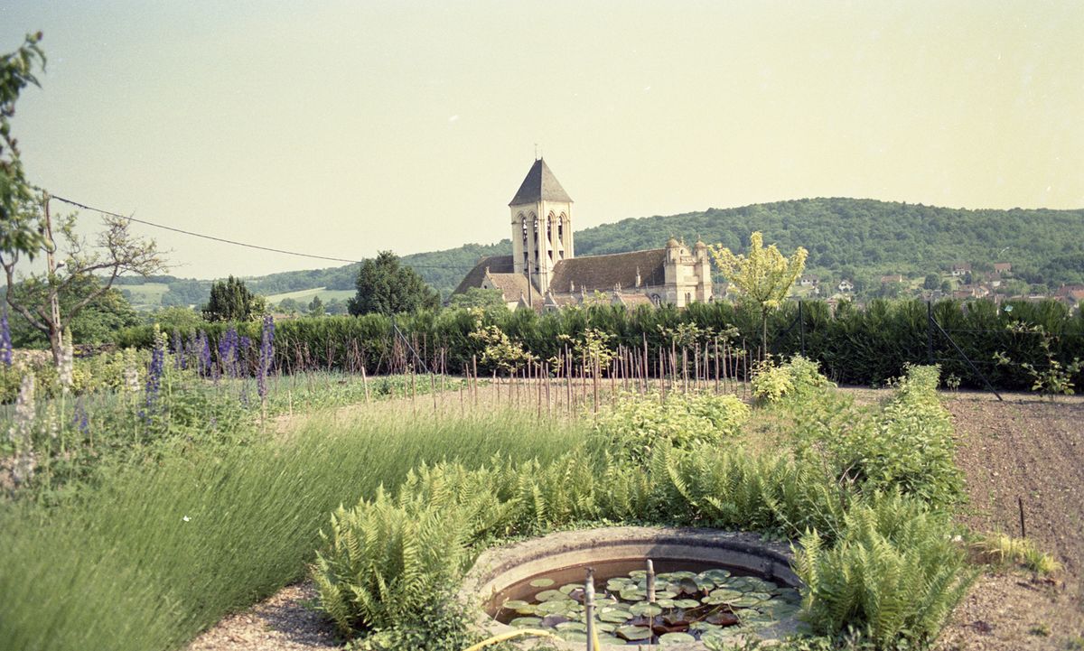 A photograph of a garden with a cathedral in the background