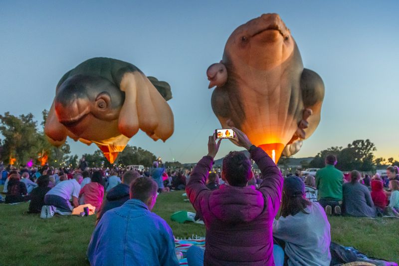 A group of people sit on the ground watching Skywhale hot air balloons taking off