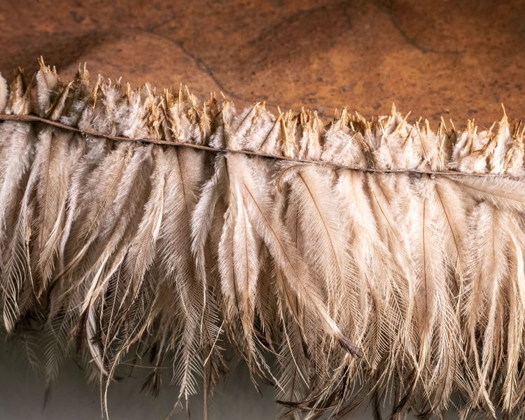Close up photograph of feathers sewn onto edge of rusted steel cooliman